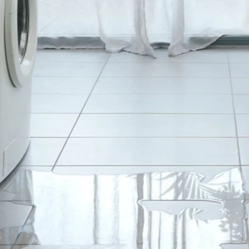 Appliance Leak Cleanup in Oregon City, OR