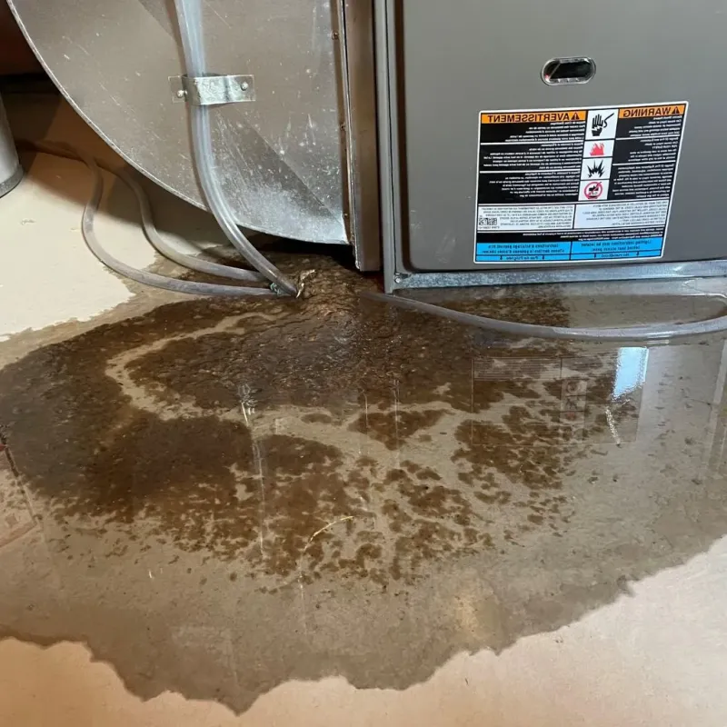 Pipe Burst and Leak Restoration in Oregon City, OR