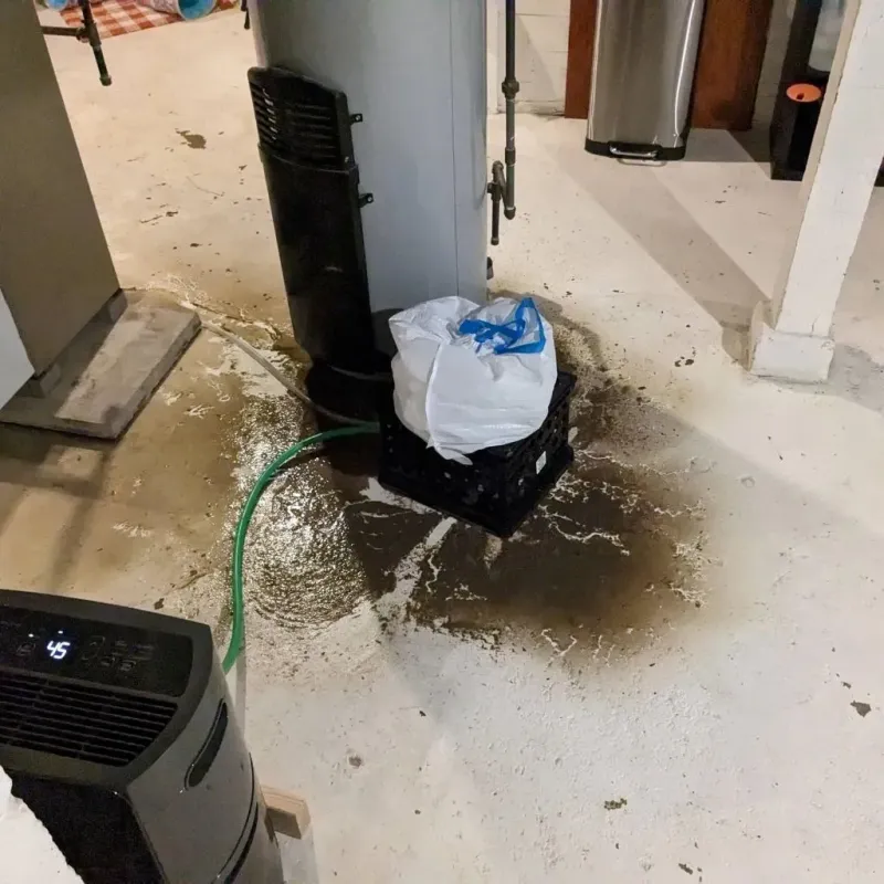 Sewage Backup Cleanup Service in Oregon City, OR